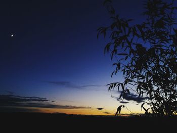Silhouette tree against blue sky at sunset