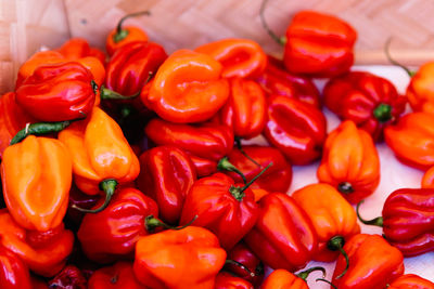 Full frame shot of red chili peppers for sale in market