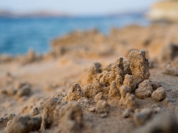 Close-up of rocks on beach