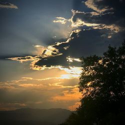 Low angle view of silhouette trees against sky at sunset