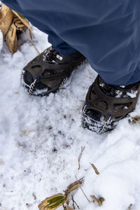 Low section of person on snow covered field