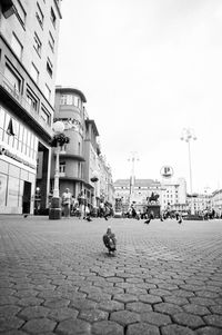 People sitting on street in city against clear sky