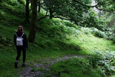 Rear view of woman walking in forest in peak district, england, united kingdom