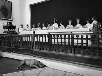 Dog relaxing on table