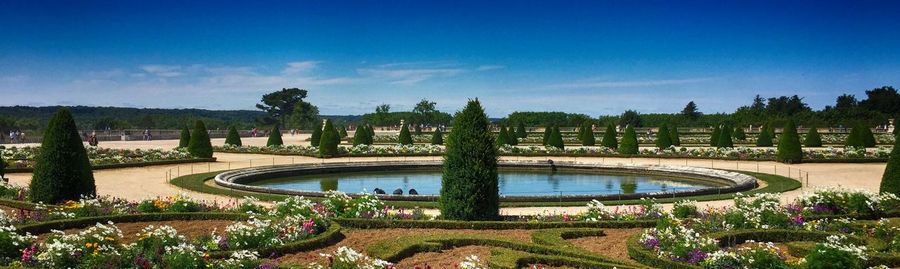 Panoramic view of trees on landscape against blue sky