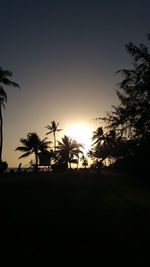 Silhouette palm trees against clear sky at sunset