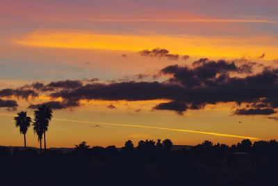 Silhouette trees against sky during sunset