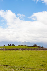 Scenic view of agricultural field against sky