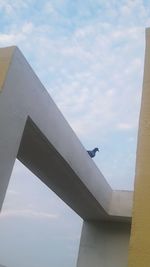 Low angle view of bird flying against sky