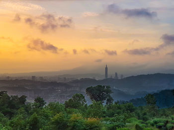 Trees and plants against sky during sunset