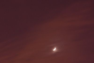 Low angle view of trees against sky