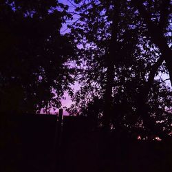 Low angle view of silhouette trees against sky