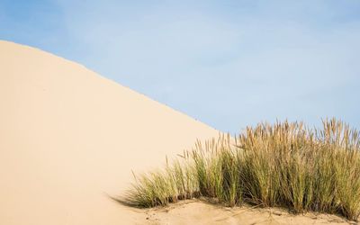 Scenic view of desert against clear sky