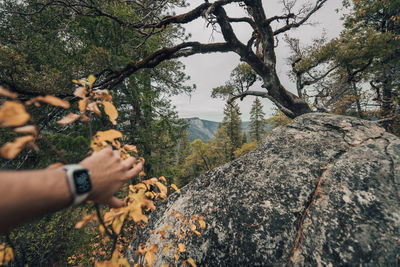 Midsection of man holding plant against trees