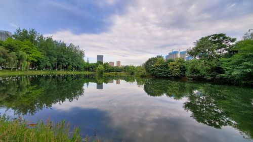 Scenic view of lake by trees against sky