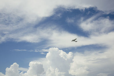 Low angle view of airplane flying in sky