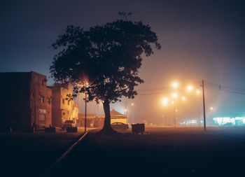 Silhouette tree by illuminated street against sky at night