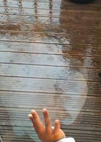 Cropped image of human hand