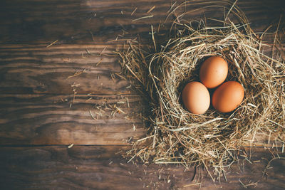 High angle view of eggs in container