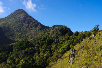 The view on the way up to doi luang chiang dao, chiang mai, thailand.