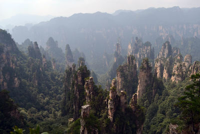 High angle view of trees in mountains