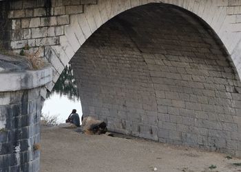 Man and dog on wall