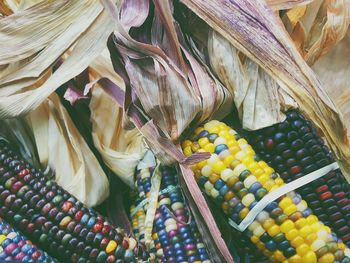 Close-up of multi colored corn for sale at market stall