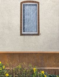 Low angle view of painted window on wall of building