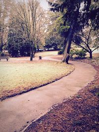 Trees in park