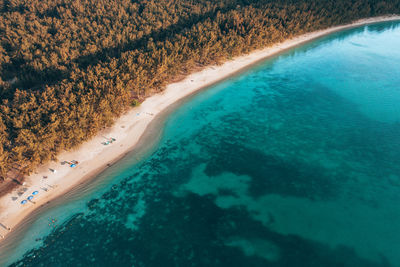 Aerial view of beach