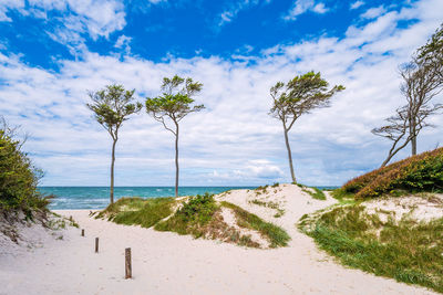 Scenic view of beach against sky