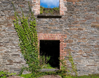 Plants growing on brick wall of old building