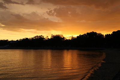 Silhouette of trees at sunset