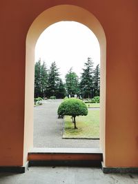 Trees seen through arch window