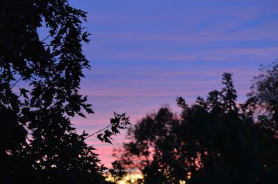 Silhouette of trees against sky at sunset