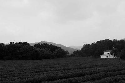 Scenic view of field and mountains against sky