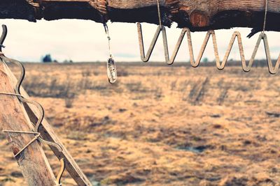 Close-up of metal hanging outdoors