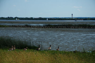 Scenic view of lake against sky