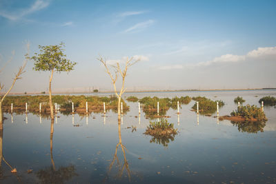 Scenic view of lake against sky