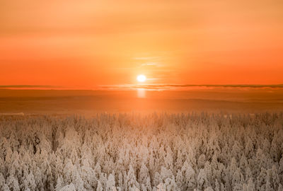 Scenic view of field against orange sky