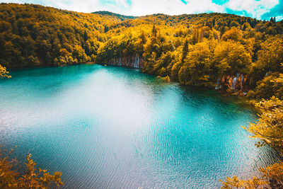 High angle view of lake amidst trees during autumn