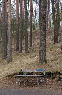 Empty bench in forest