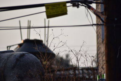 Close-up of reflection in water