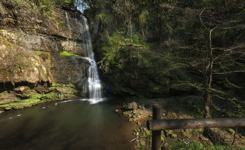 Scenic view of waterfall in forest