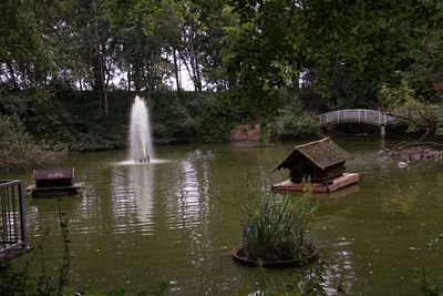 Scenic view of lake in forest