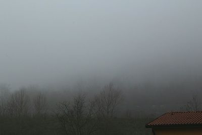 Trees on landscape against sky