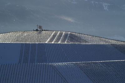 Vineyard scene in winter