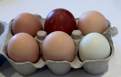 Close-up of eggs