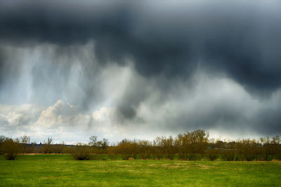 Panoramic view of trees on field against storm clouds