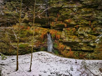 Scenic view of waterfall in forest during winter